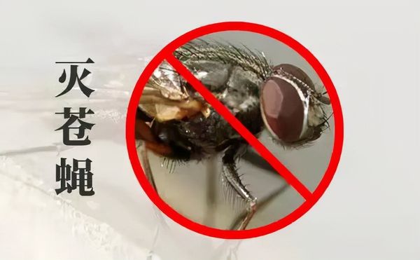 小区灭四害，有哪些潜在因素？